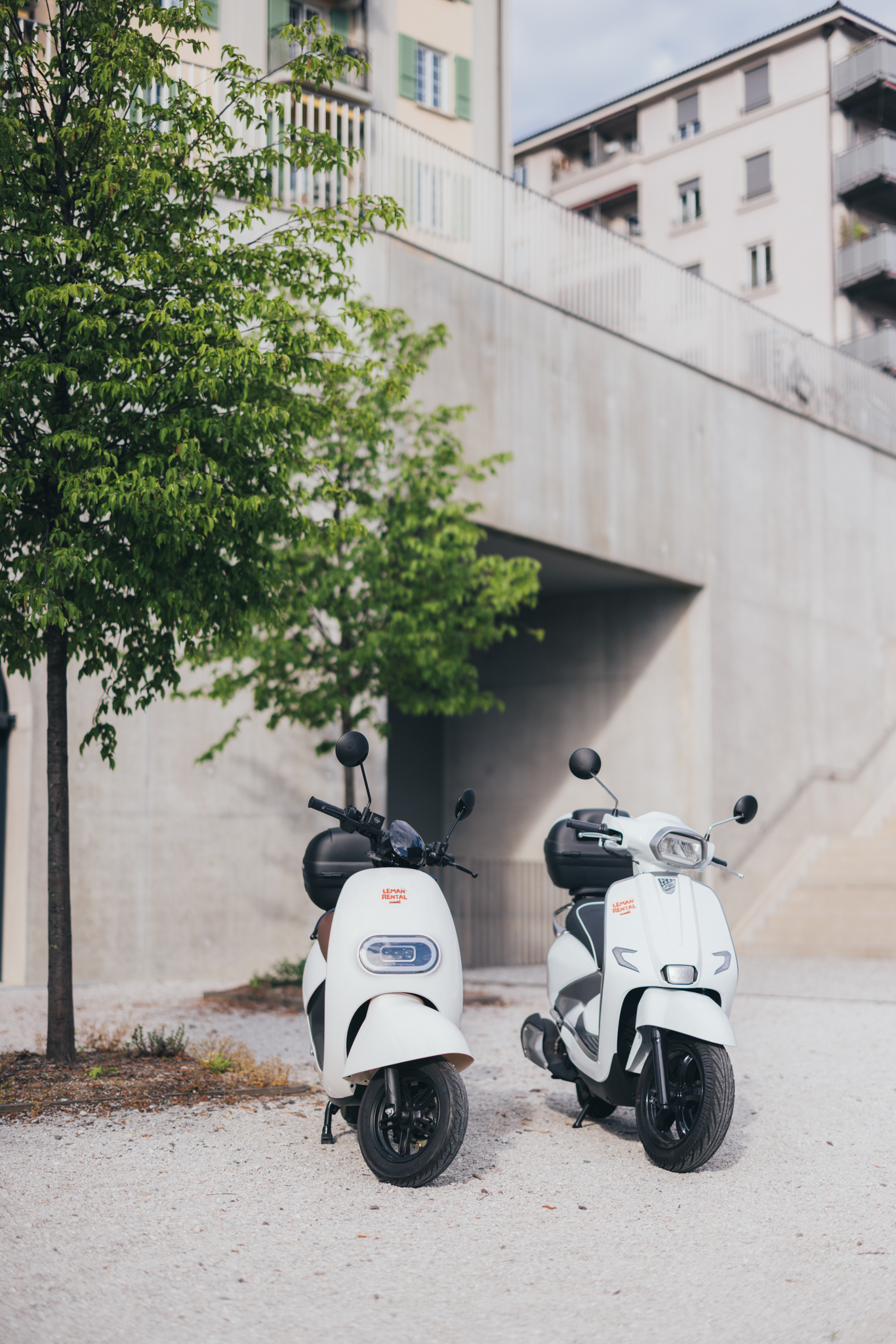 Scooters électriques Leman Pro pour entreprises